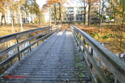 De brug.